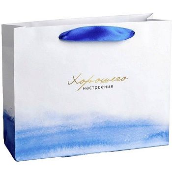 Пакет подарочный "Гармонии", 22х17,5х8см 1шт