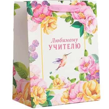Пакет ламинированный "Любимому Учителю", 18х23х10см 1шт